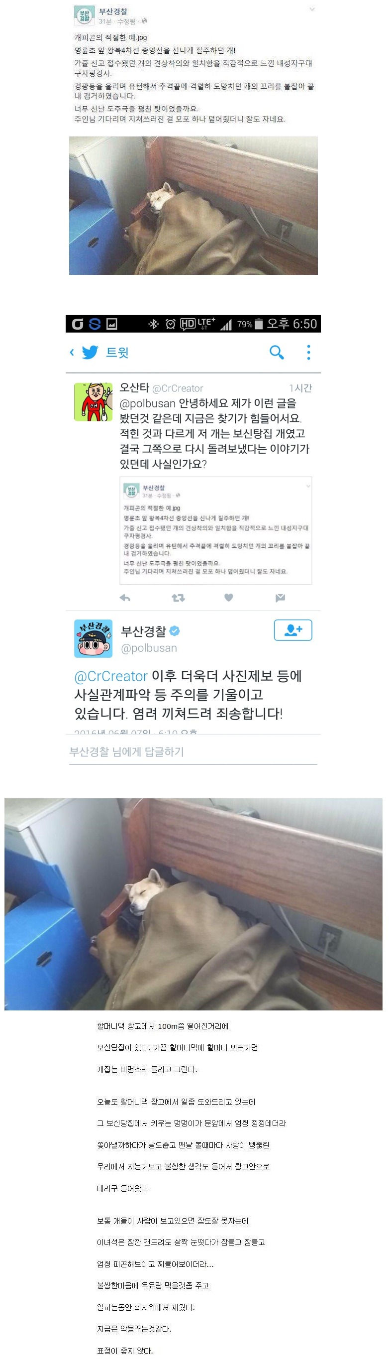 부산경찰 SNS주작사건 .JPG | 인스티즈