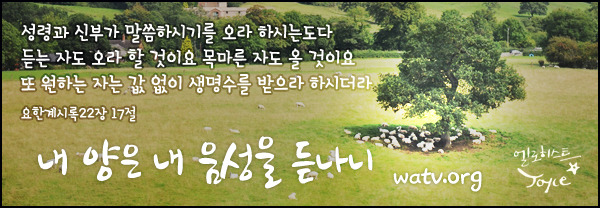 내음성 이미지