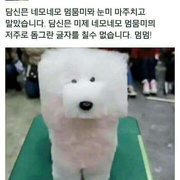 네모남 멈뭄미 밉니담 | 인스티즈