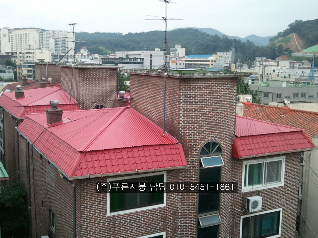 성심칼라 이미지