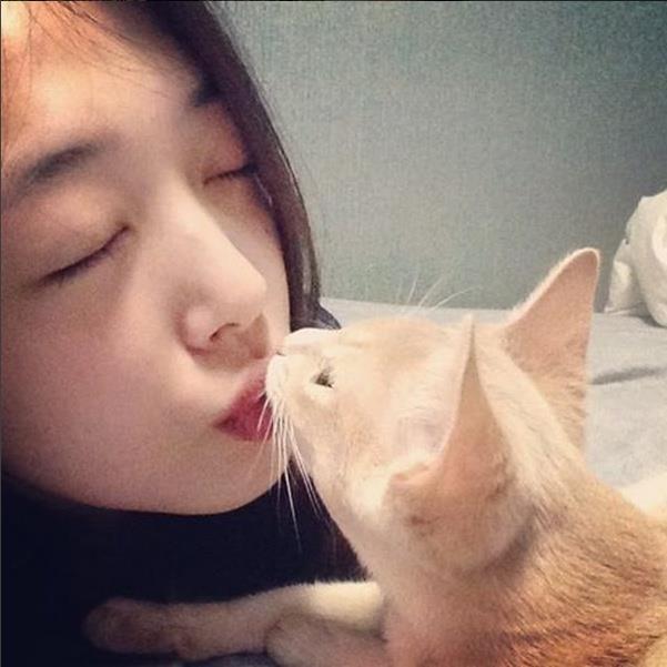 연예인들이 키우는 반려동물(반려묘) | 인스티즈