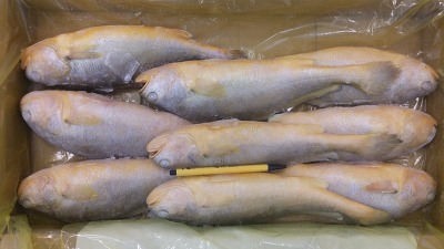 05수산 이미지