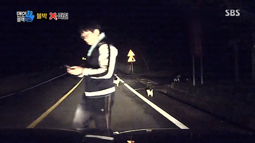 사람에게 도움을 청하는 강아지들 | 인스티즈