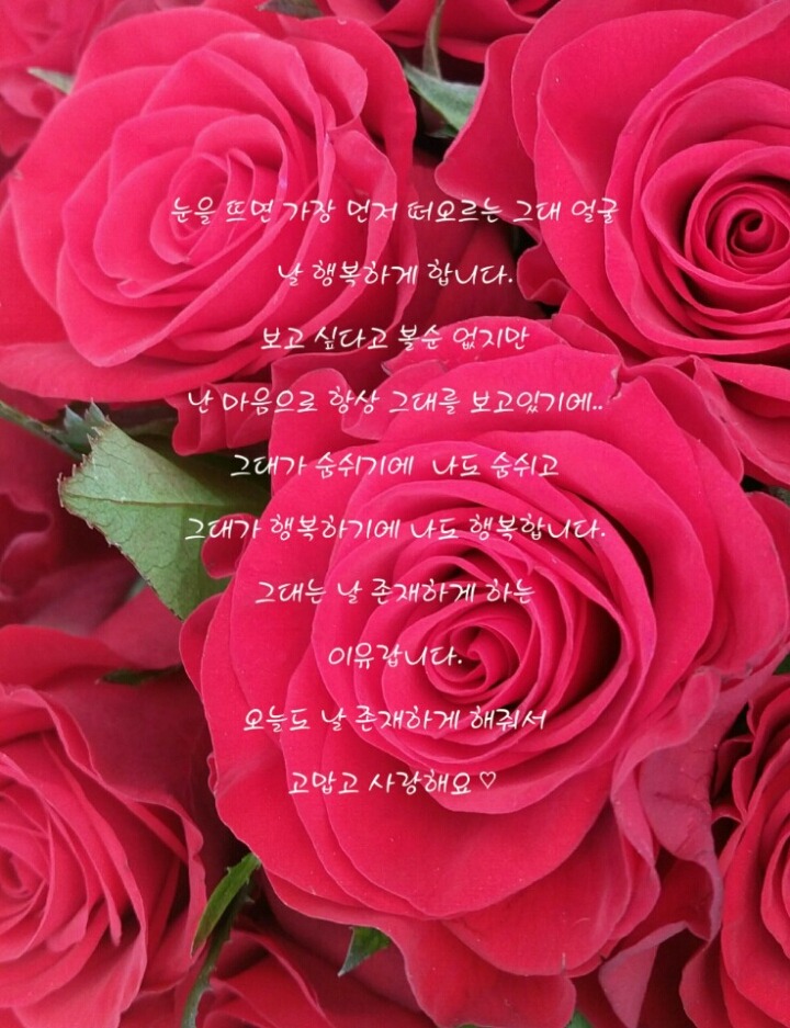 영서네 이미지