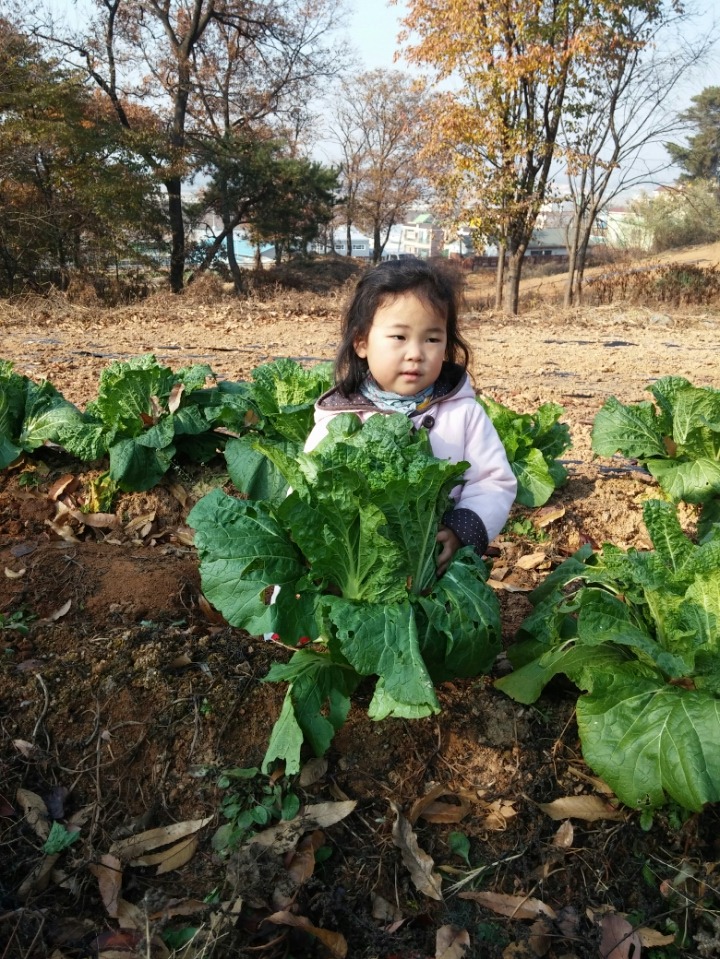 에코뜰 이미지