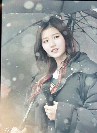 [트와이스] 첫눈속에 피는 사나 | 인스티즈