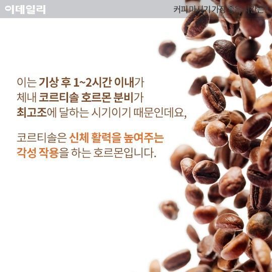 모닝 커피가 안좋은 이유 | 인스티즈