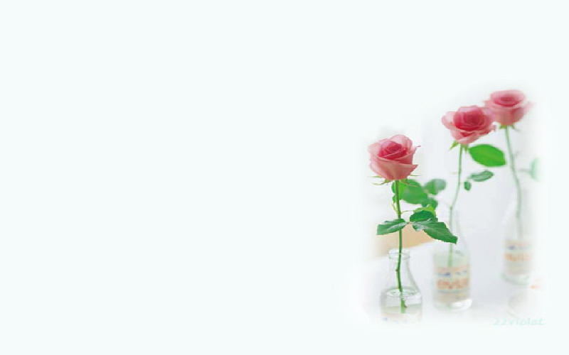 시우 이미지