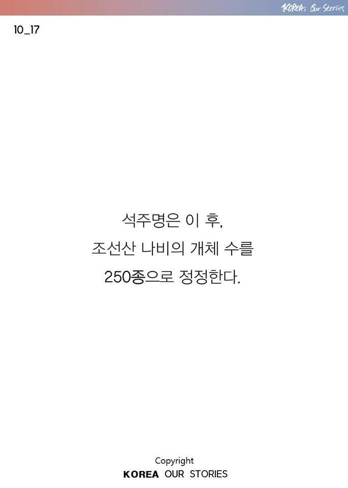한국에서 나비가 사라졌다 | 인스티즈