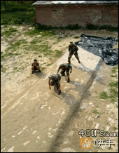 군인 팀전술 ㄷㄷ .GIF | 인스티즈