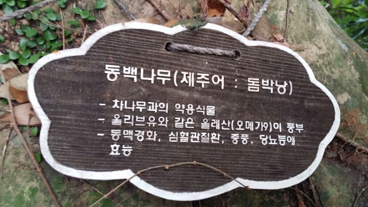 동백마을 이미지