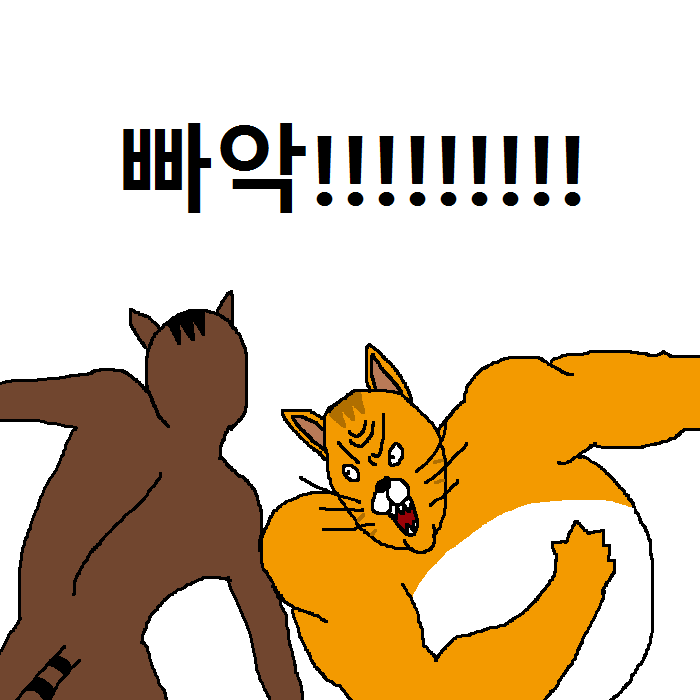 상남자 고양이의 아들 교육법 | 인스티즈