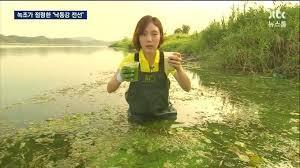 대선토론 홍준표"4대강 홍수 가뭄예방등 수십조 효과내고 있는 사업" | 인스티즈