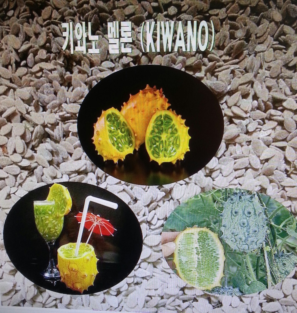 키와노 이미지