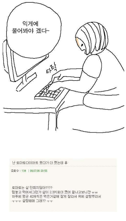 토마토 다이어트를 하는데 살이 안 빠진다 | 인스티즈