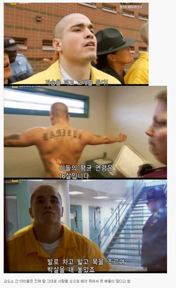 문신까지 새긴 미국일진과 한국일진 후덜덜.jpg | 인스티즈