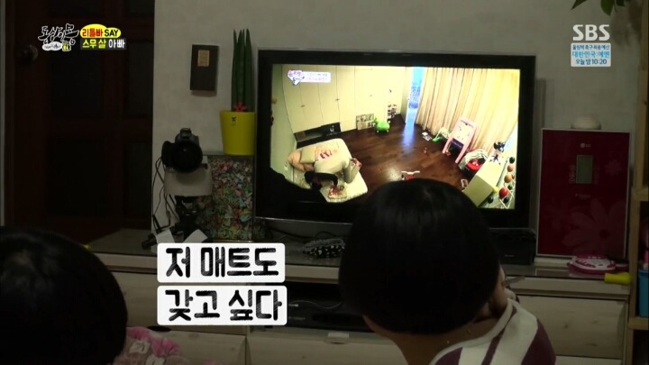 리틀맘 리틀대디가 육아 프로그램을 안 보는 이유 | 인스티즈