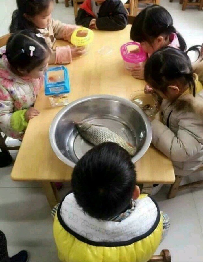 아빠 나 유치원에서 관찰할 물고기 가져오래! | 인스티즈