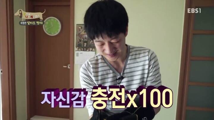 [세나개] 공격적인 반려견이 되는 이유 1부.jpg | 인스티즈