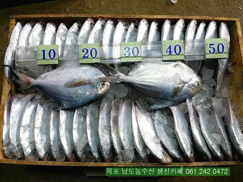 보교기획 이미지