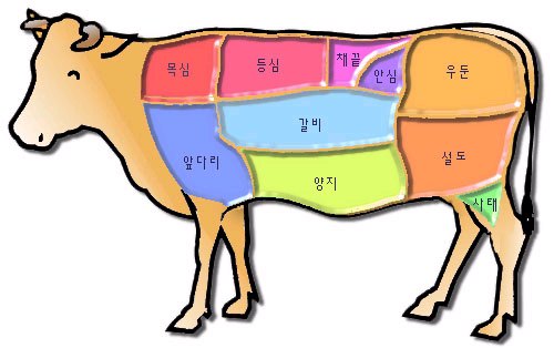 소고기 마이쪙! | 인스티즈