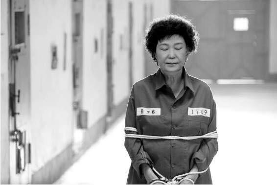 탄핵가결기념 그네상황 짤방요약 jpg | 인스티즈