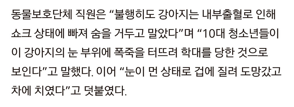 강아지 얼굴에 폭죽 터뜨려 죽게 만든 10대들 | 인스티즈