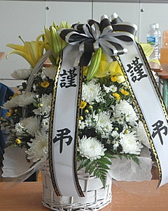 이*춘 이미지