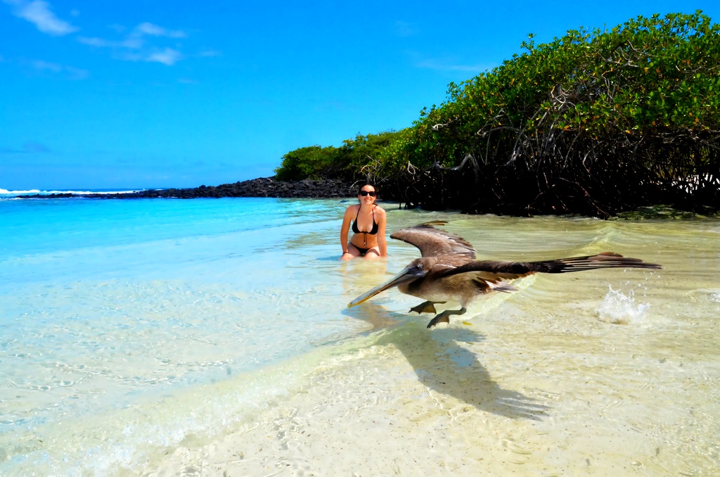 277A56445496BFC11DEBCA