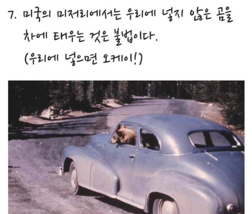 세계 황당한 법률 | 인스티즈