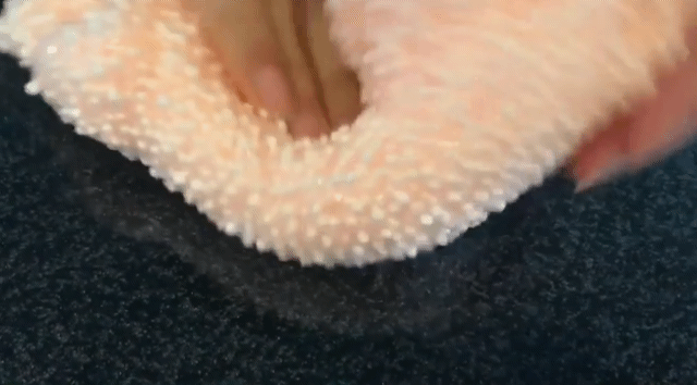 요즘 핫한 장난감.jpgif | 인스티즈