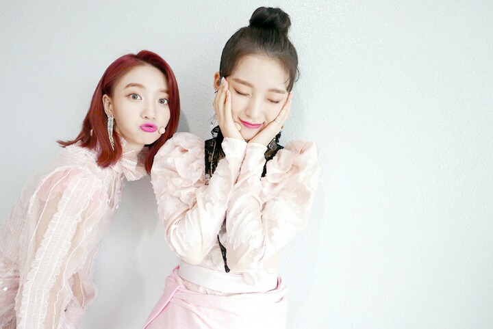 오마이걸 아린이는 몰랐던 비니의 등장.jpgif | 인스티즈