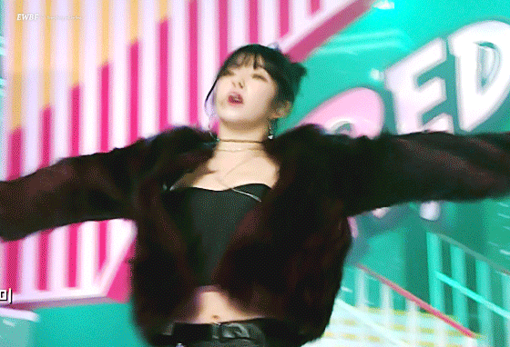 레드벨벳 꽃리더.jpgif | 인스티즈