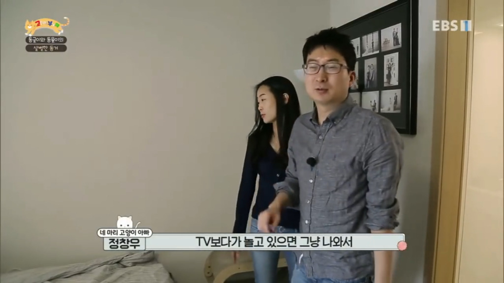 세상에 나쁜 개는 없다 vs 고양이를 부탁해 차이.jpg | 인스티즈