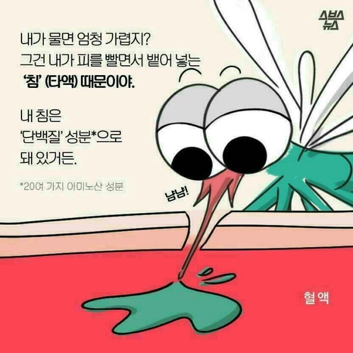 안녕 난 모기라고 해 | 인스티즈