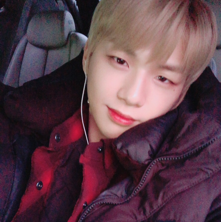 손블리 이미지