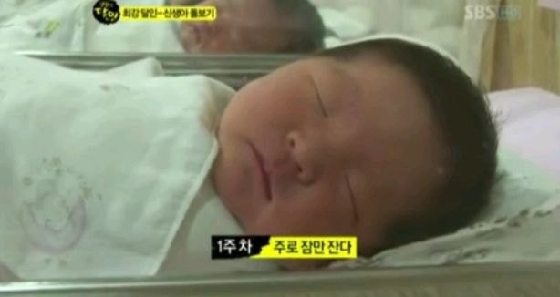 신생아는 주마다 차이가 난대 | 인스티즈