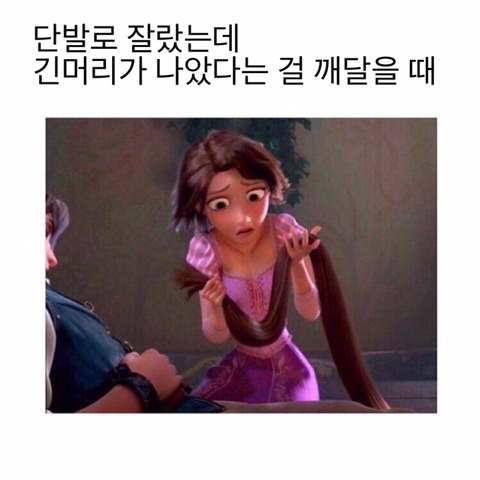 사람 사는 건 어디나 똑같다. 미국 짤 번역 | 인스티즈