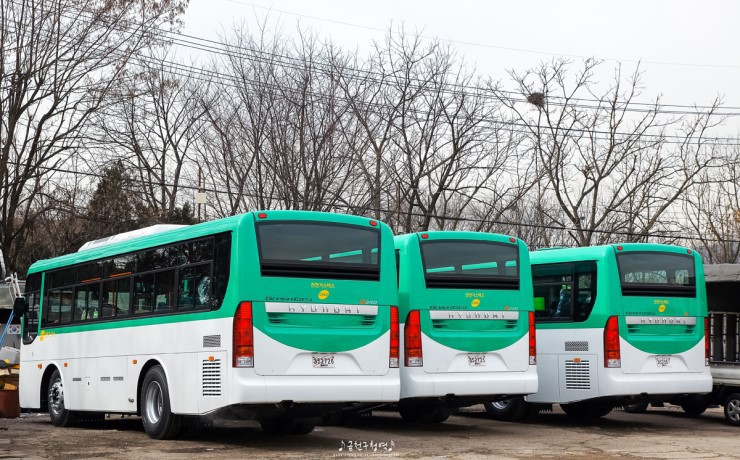 그린시티 이미지