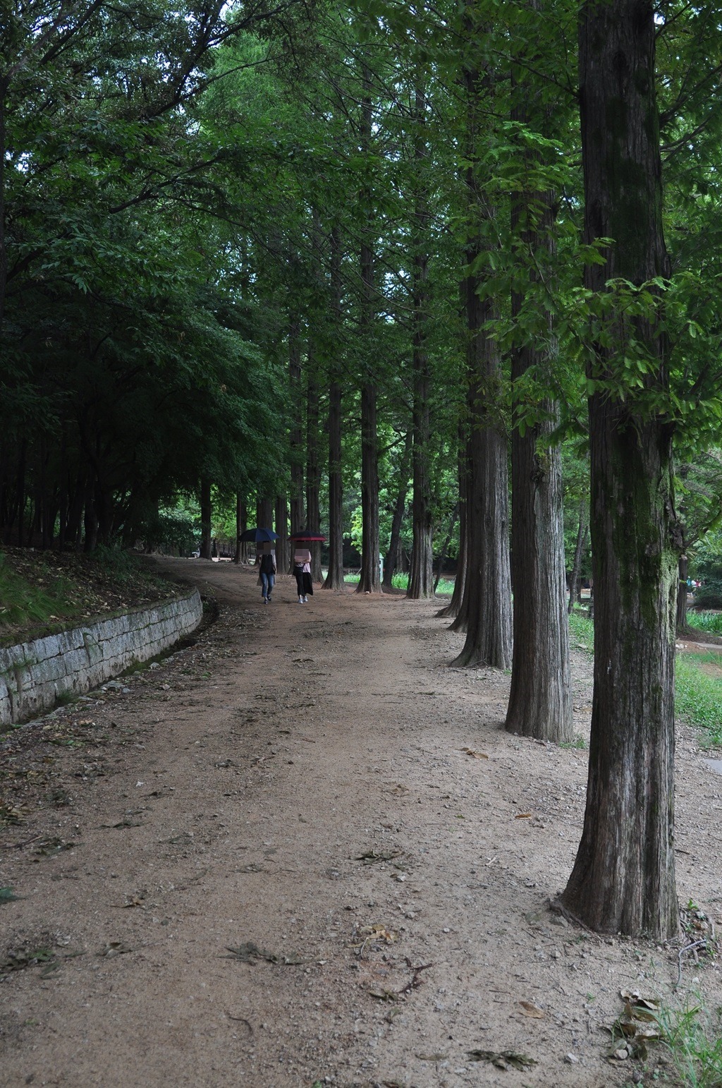 산책 E&D 이미지