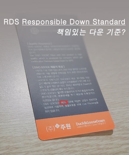 평창 롱패딩 치는 글들이 무의미한 이유 | 인스티즈