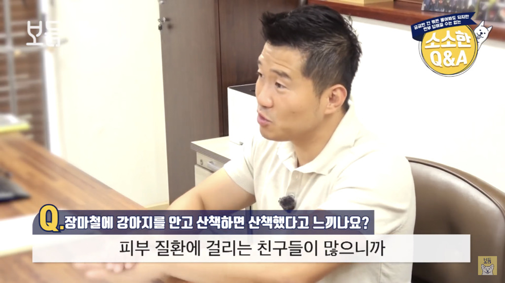 장마철에 강아지를 안고 산책하면 산책했다고 느끼나요?.jpg | 인스티즈