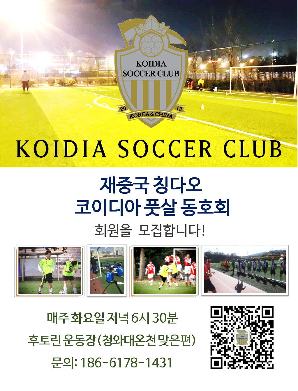 코이디아 이미지