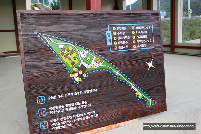 나무그래픽 이미지