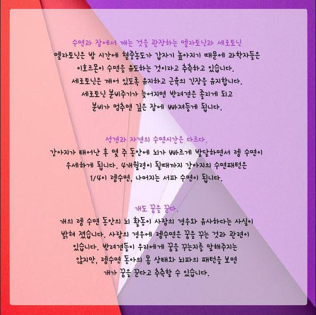 잠꾸러기 이미지