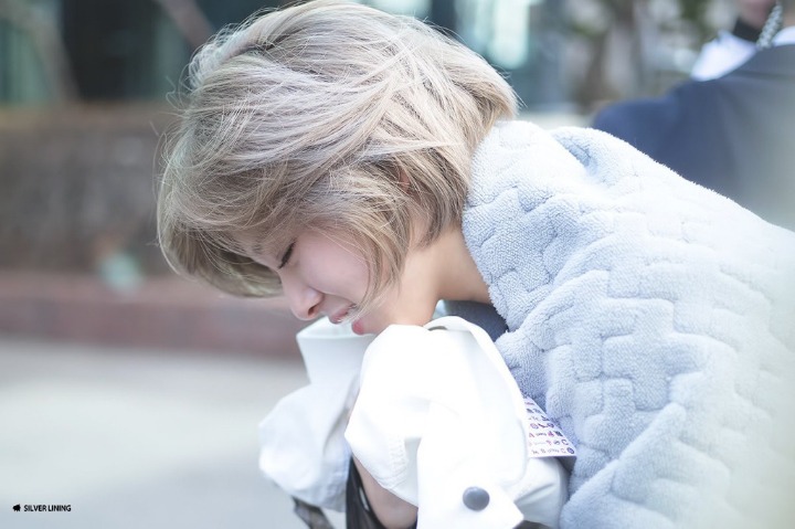 트와이스 정연 쯔위 | 인스티즈