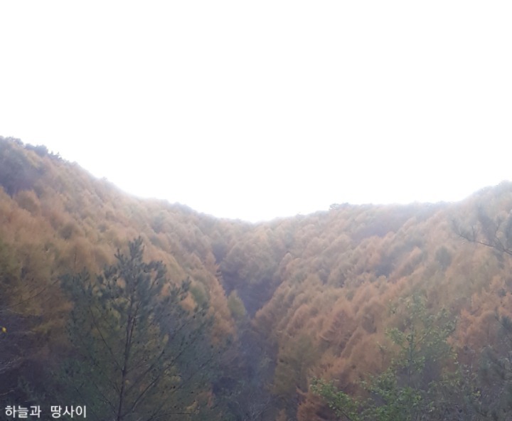 하늘과땅사이 이미지