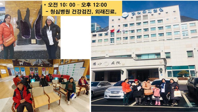 닥터맘 이미지