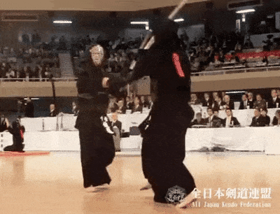 롱소드 검술과 검도의 공통점.gif | 인스티즈