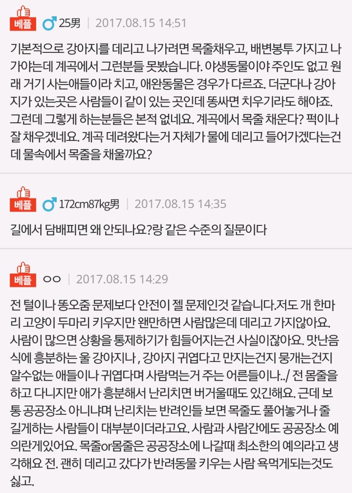 추가)계곡에 강아지 데려가면 안되는 이유가 뭔가요? | 인스티즈